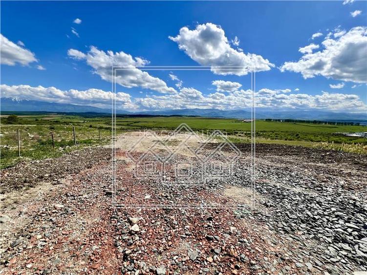 Teren extravilan de vanzare cu suprafata de 3100 mp in Daia - 5