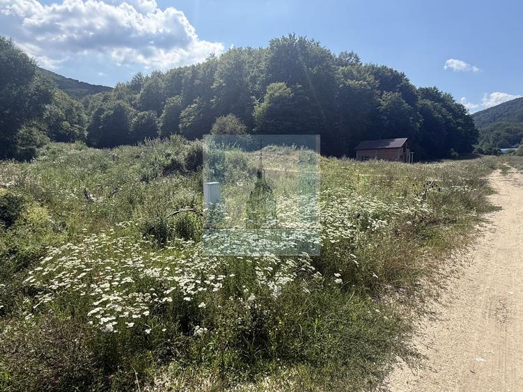 Teren intravilan, cu PUZ aprobat, 500 mp - zona Maierus/Sat Vacanță