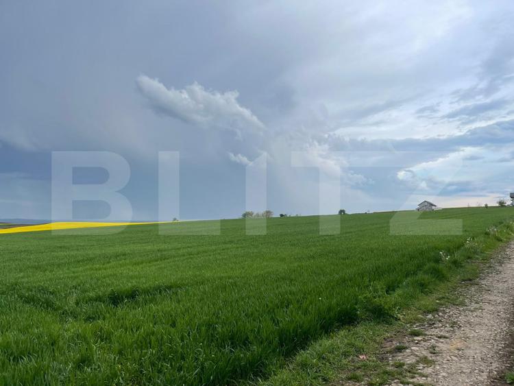 Teren intravilan, 1000 mp, Frumoasa
