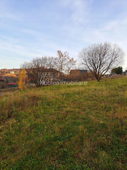 Teren de vânzare 1000 mp – Sălicea, Ciurila (doar 15 minute de Cluj-Napoca) - 4