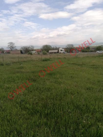 Teren intravilan de vânzare în Moacșa (Eresteghin)!
