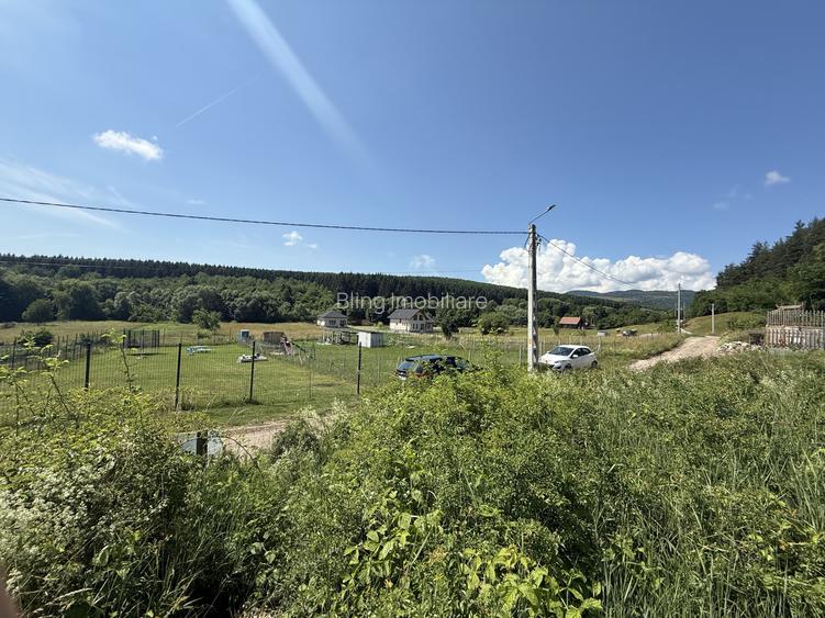 Teren autorizat - 1500 mp - Savadisla! - 3