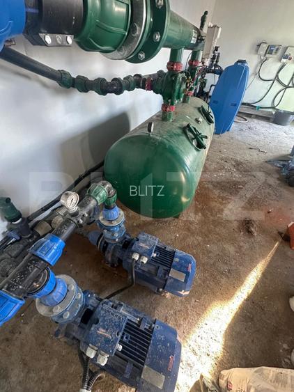Ferma de nuci - teren agricol, zona Ivesti