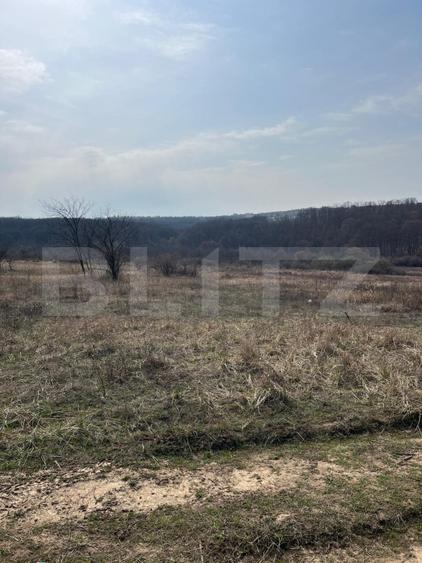 Teren intravilan de vanzare, 9783 mp, Paleu zona Iacului