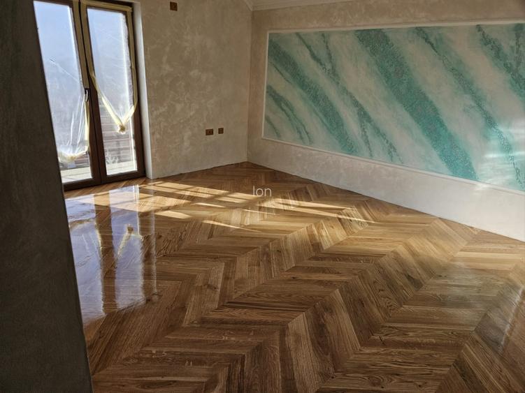 Casa individuala/teren1040mp/garaj/livada/beci - 3