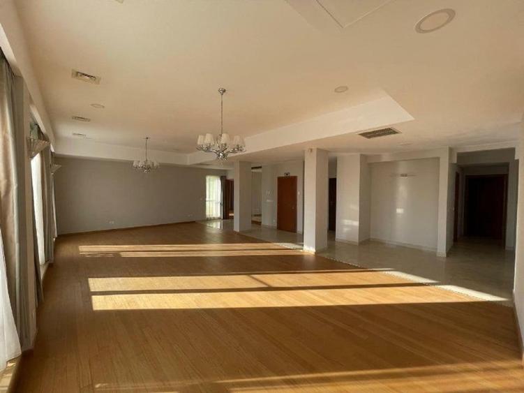 Apartament spatios Herastrau