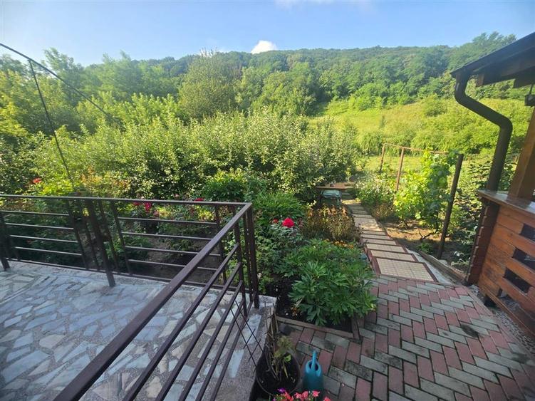 Casa in Luncani cu teren 5500 mp