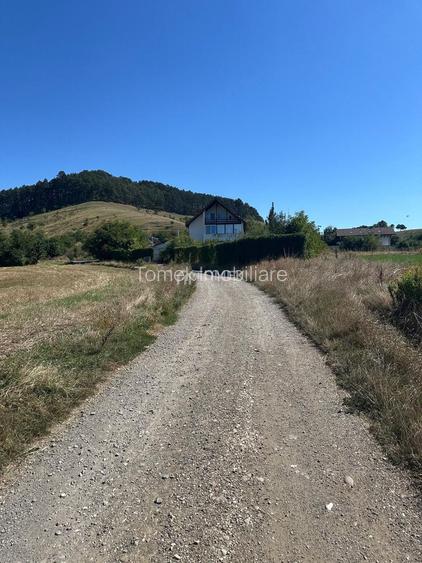 Teren intravilan Sanpetru Lempes str Dealului - 8