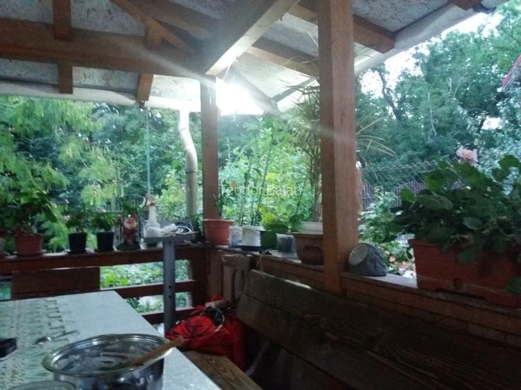 Vând casă în orașul Buziaș sau schimb cu apartament la parter, în Timișoara. - 8