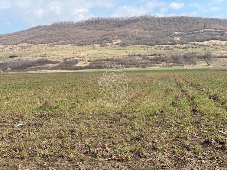 Teren Intravilan-3750mp- zona in plina dezvoltare-Podirei