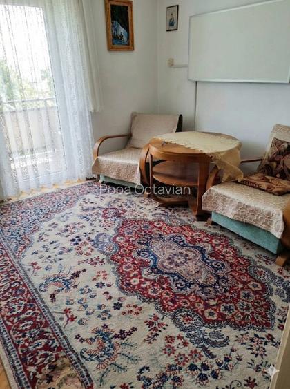 Apartament 2 camere etaj 2, pozitie exceptionala vis-a-vis de parcul Avram Iancu - 7