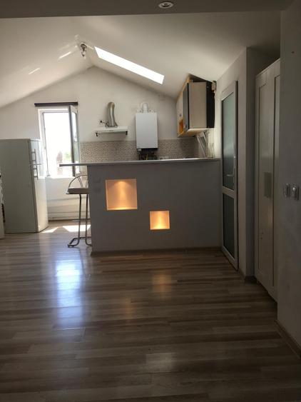 Apartament in mansarda - Damaroaia