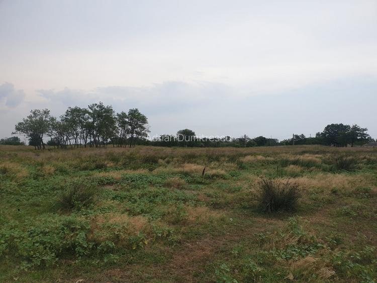 Teren intravilan in Delta Dunarii, C.A. Rosetti - Cardon - 9