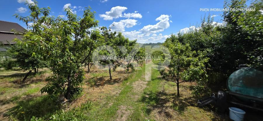 Casă individuală de vânzare, 6 camere, subsol 110 mp, teren 5.753 mp – Cândești - 12