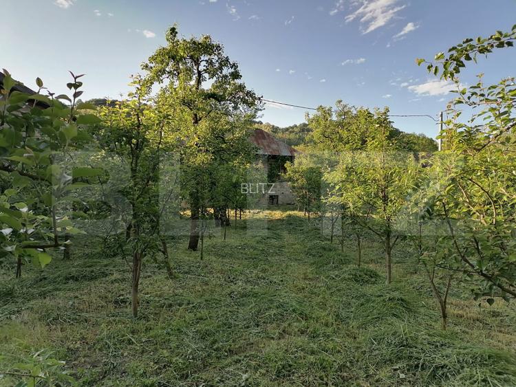 Casă la rRșu cu Livadă, Teren 1000 mp.  Gemenea Brătulești - 12