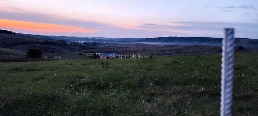 Teren intravilan,3000 mp,front 30ml,Salistea Noua - 3