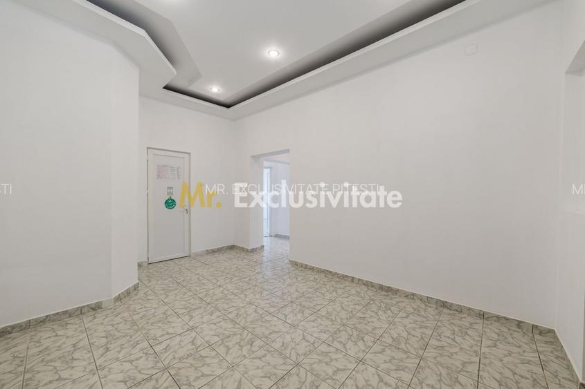 Proprietate multifunctionala | Doua cladiri | 581 mp | Pitesti - 23