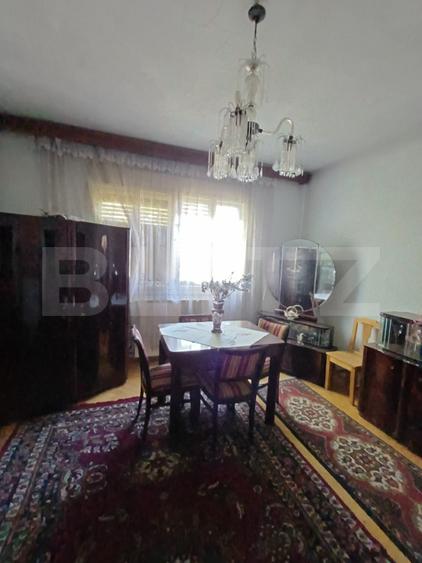 Casa renovabila cu 11508 mp teren, in Copaceni - 10