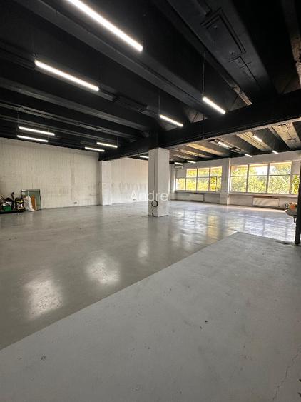 Spatiu comercial/industrial Theodor Pallady IOR - 4