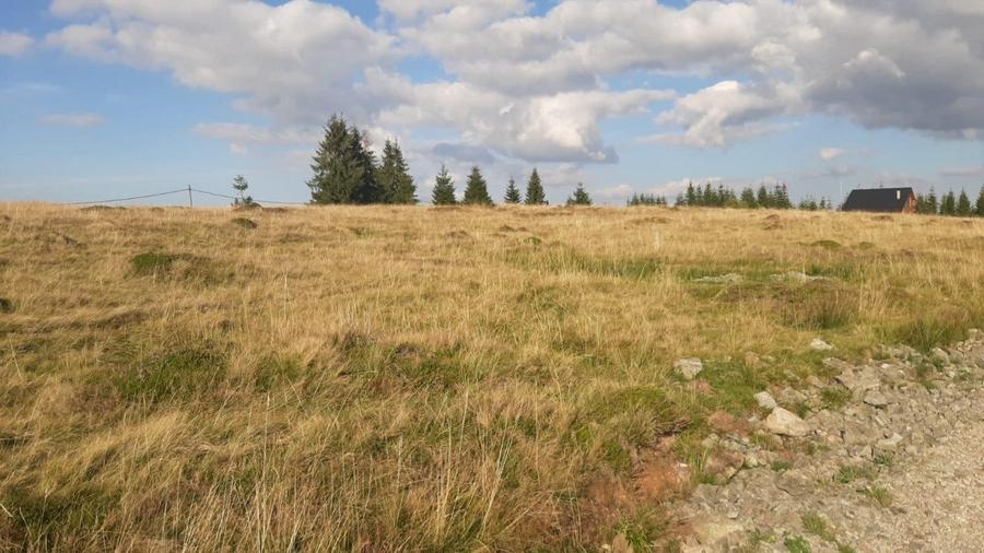 Teren, 1000 mp, intravilan, utilitati, zona Beliș