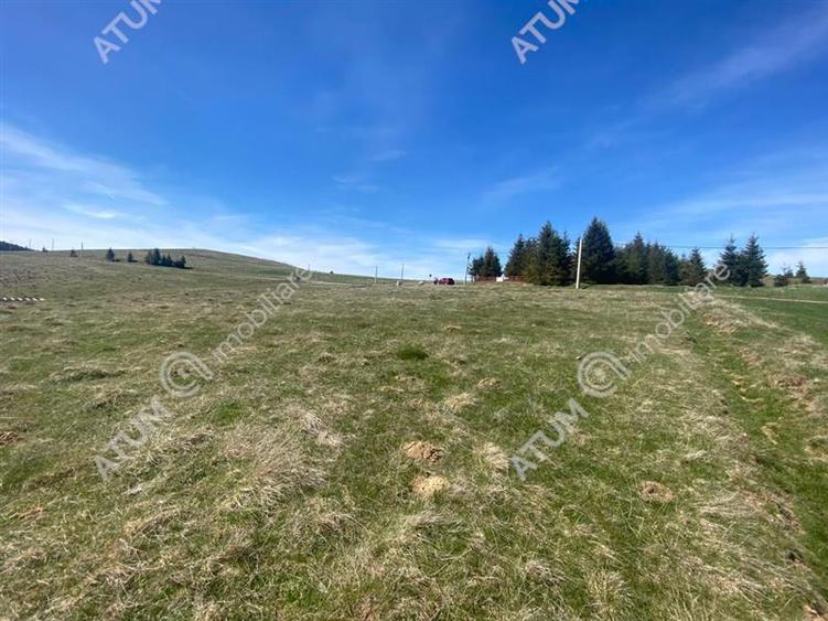Teren intravilan 3000 mp cu utilitati in Paltinis judet Sibiu