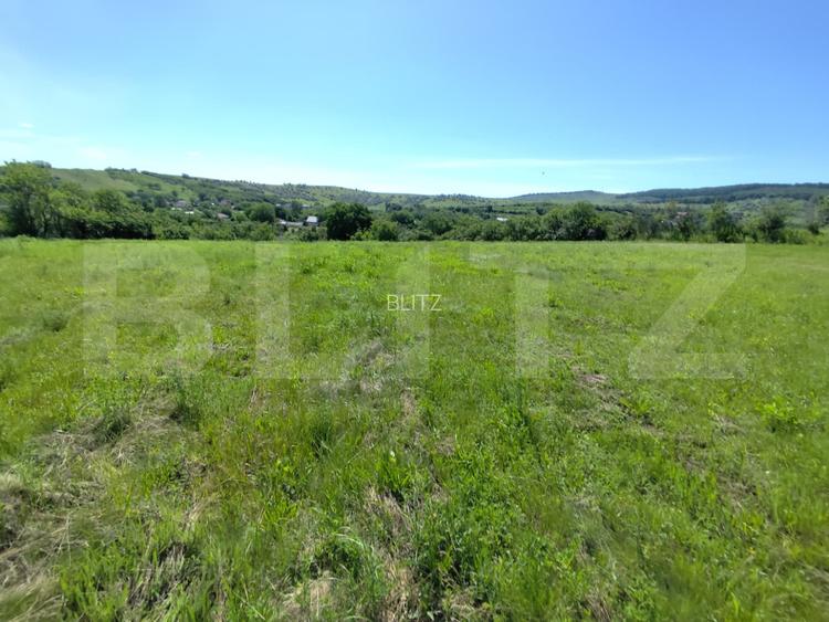 Casa 3 camere, 110 mp, 4800 mp teren, zona Horlesti - 3