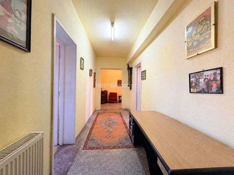 4 camere, suprafata generoasa, vedere panoramica spre raul Timis - 12