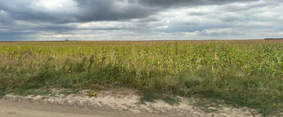Teren extravilan agricol - Fundeni jud Galati