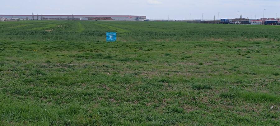 Teren intravilan 35.000 mp – Șag