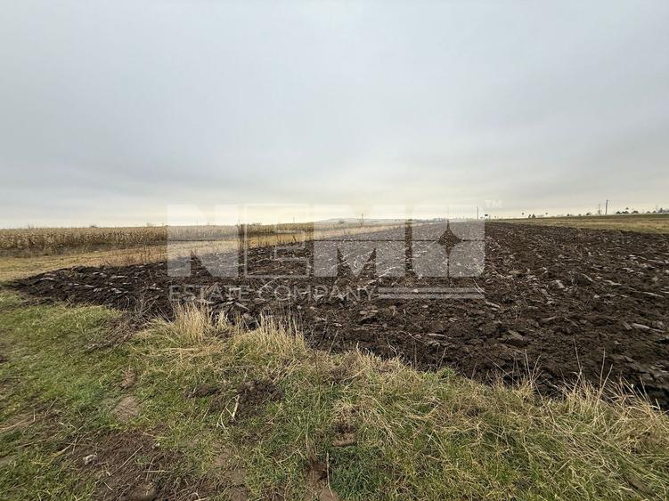 Parcela teren agricol 50 Ari