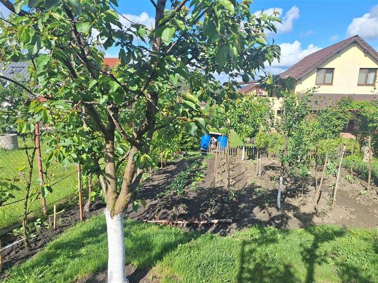 Vanzare casa individuala cu gradina matura Campenesti Apahida, Cluj-Napoca