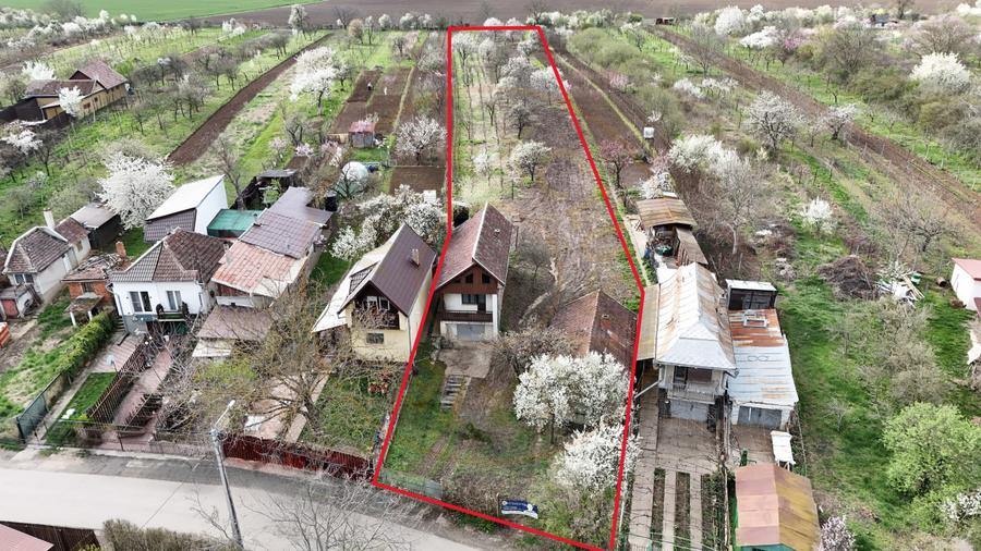De vânzare 2 Case de vinificație cu Teren 4108 mp - Grădina Viilor - Carei