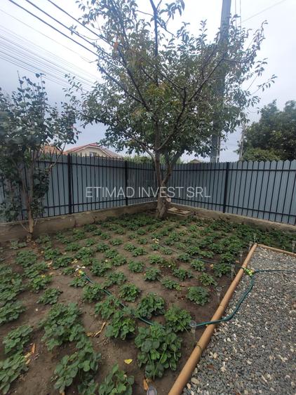Valu lui Traian -casa 3 camere cu teren 300 mp -gaze la poarta  72500 euro - 37