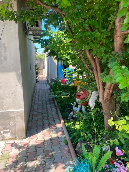 Casa 5 camere - Murfatlar - 60.000 euro (cod E2+E7)