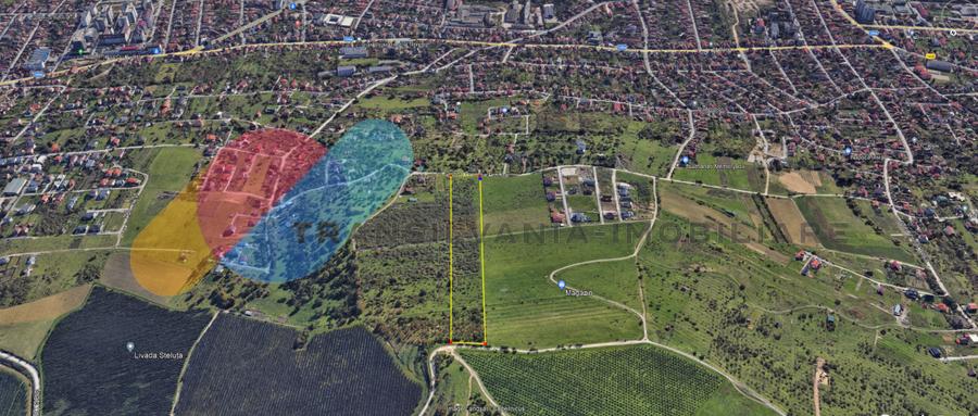 Teren 8.300 mp pe limita intravilanului, zona Dambul Rotund