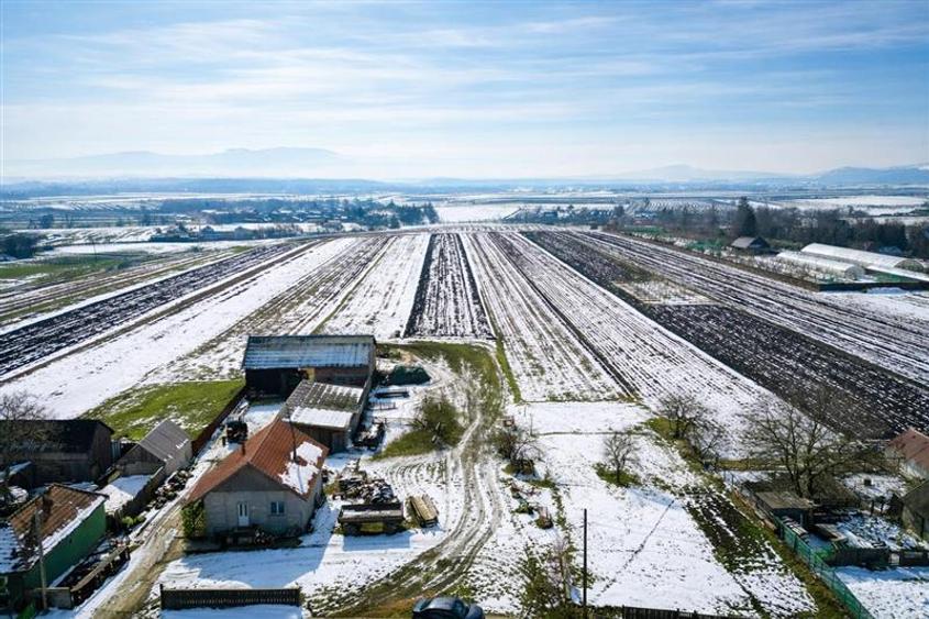 Lot construibil 6.425 mp,Dobolii de Jos, oportun:proiecte rezidentiale amplasame
