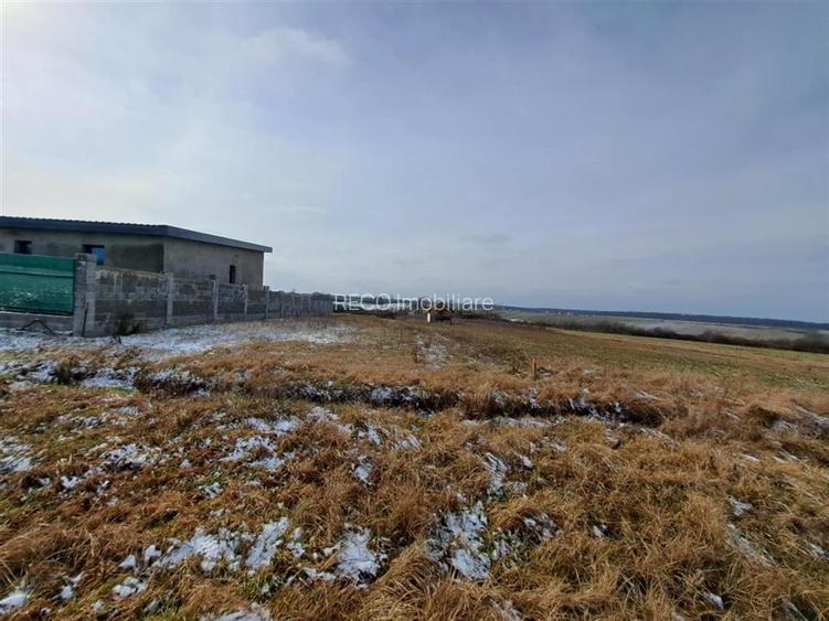 RECO teren Cordau - 3