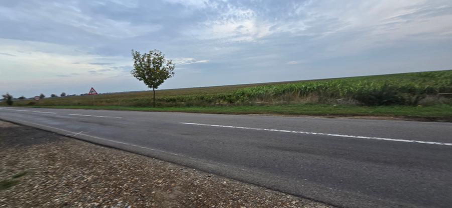 LIVADA DE VANZARE FOCSANI-DUMBRAVITA 1,8 HA