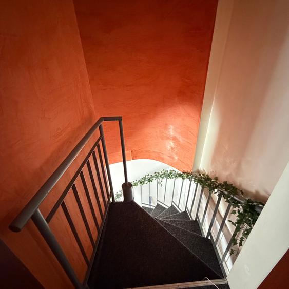 Casa P+1, aproape de Piata Universitatii, pet friendly, curte comuna