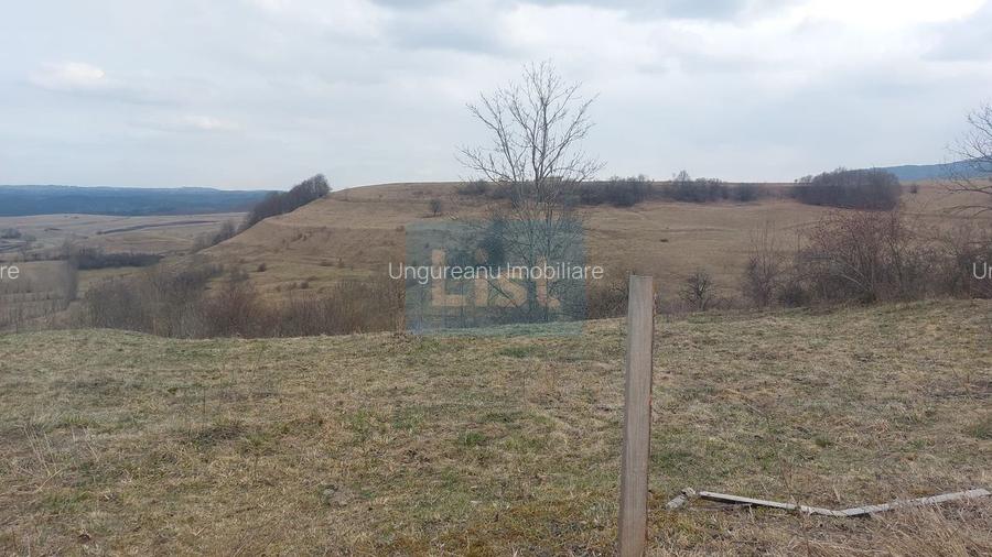 Casa traditionala din lemn renovabila cu teren 2295 mp Margau Cluj - 11