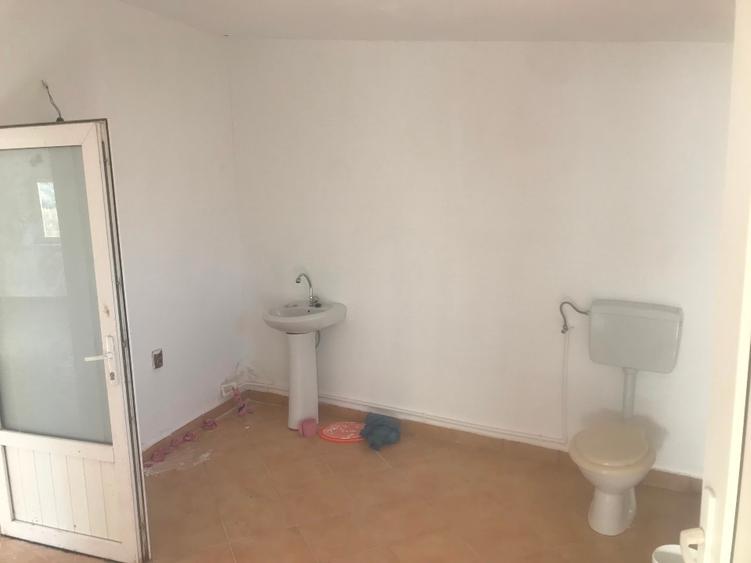 Casa (spațiu comercial) de vânzare Bălăceanu