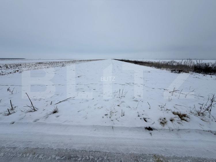 Teren de vanzare, 9000 mp, cartier Izvor - Tarlungeni - 105.000 euro - 3
