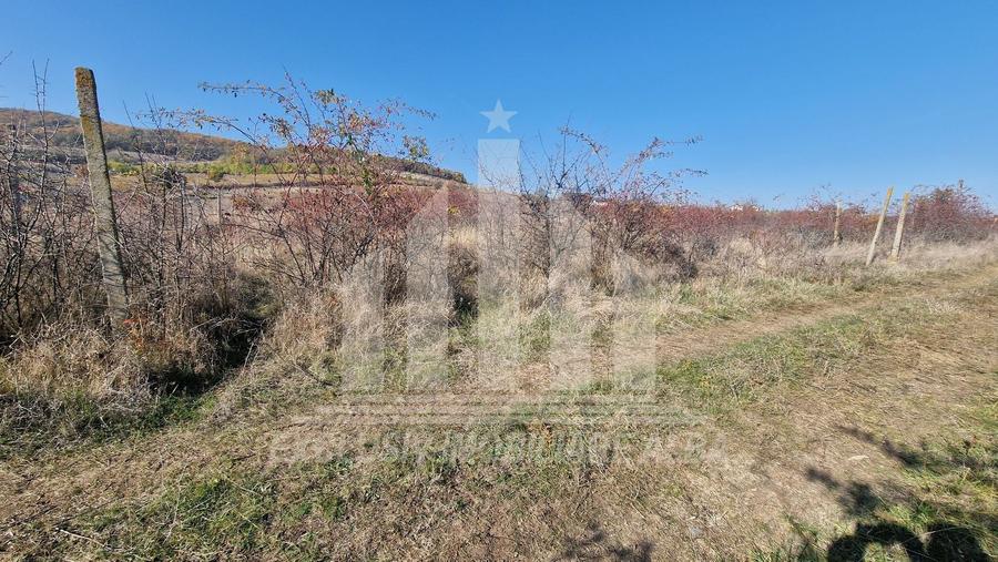 Teren intravilan | De vanzare | 3900 mp | 17 ml deschidere | Cetate