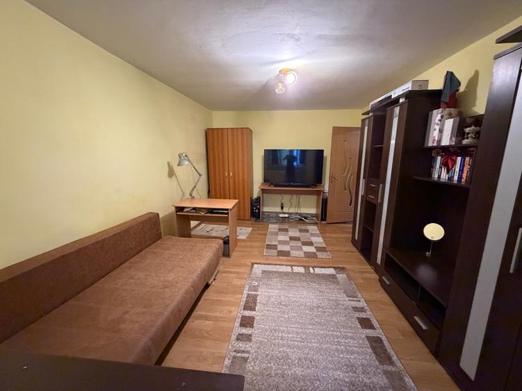 Apartament cu o cameră Buziașului