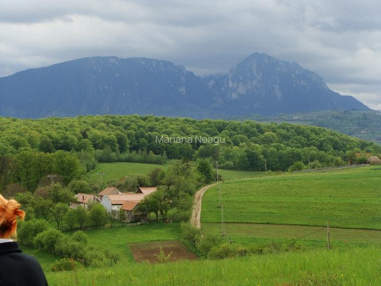 Teren Poiana Mărului Brașov,  PUZ, 11600mp, pe ruta via Transilvanica - 3