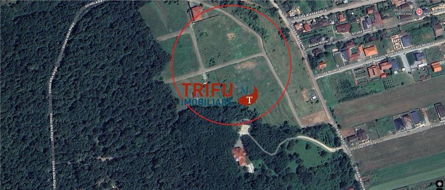 Teren 528 mp de vanzare Alba Micesti spre padure