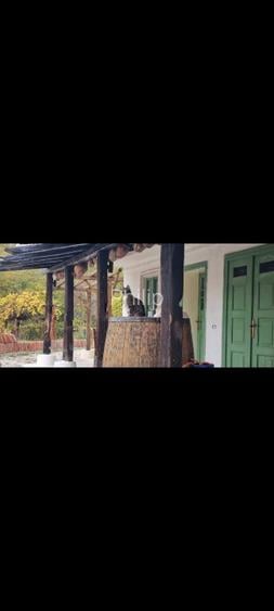 Casa traditionala intr-o zona de vis pe langa Curtea de Arges  - 6