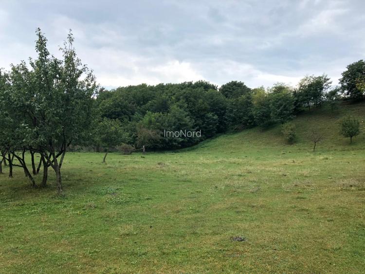 Teren intravilan Vălenii de Munte – 9.123 mp | Deschidere 45 ml | Lângă râu