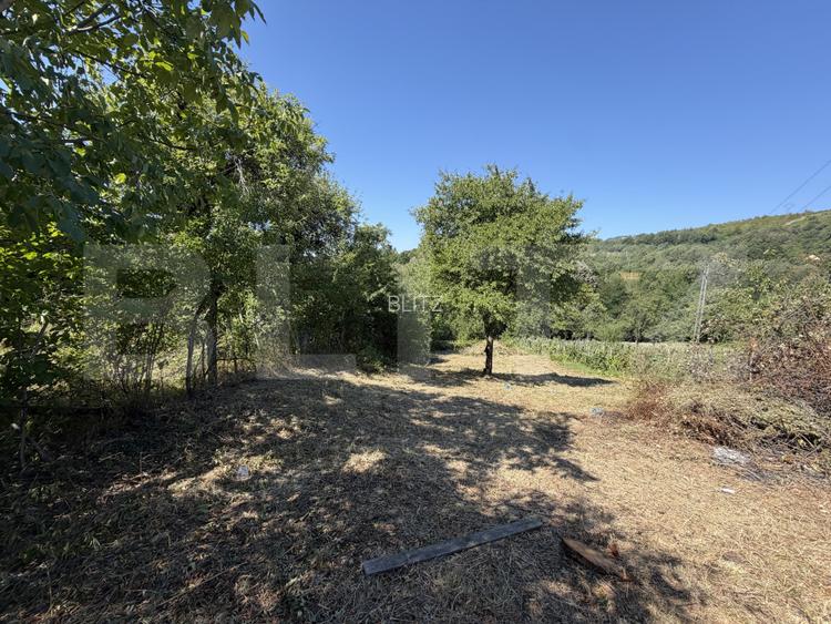 Teren de vanzare, 1600 mp, zona Schela - 4