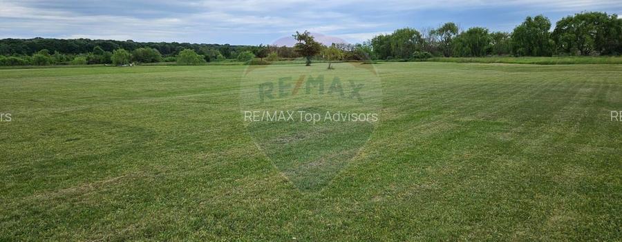 Teren de vanzare 9.7ha | Prahova, Gorgota | 450m de la DN1 - 8